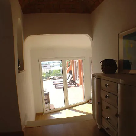 Welwitchia